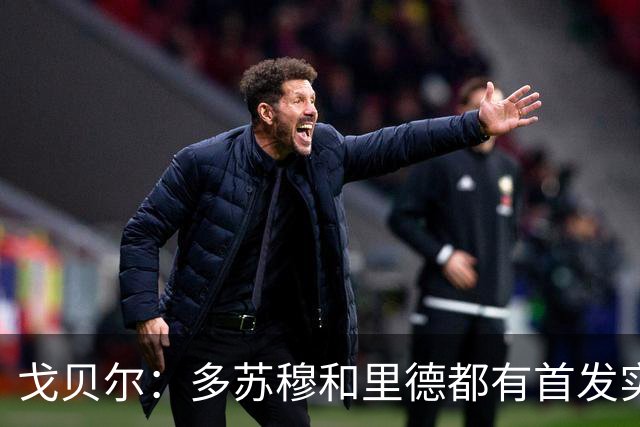 戈贝尔：多苏穆和里德都有首发实力 阵容调整后我的角色变化不大